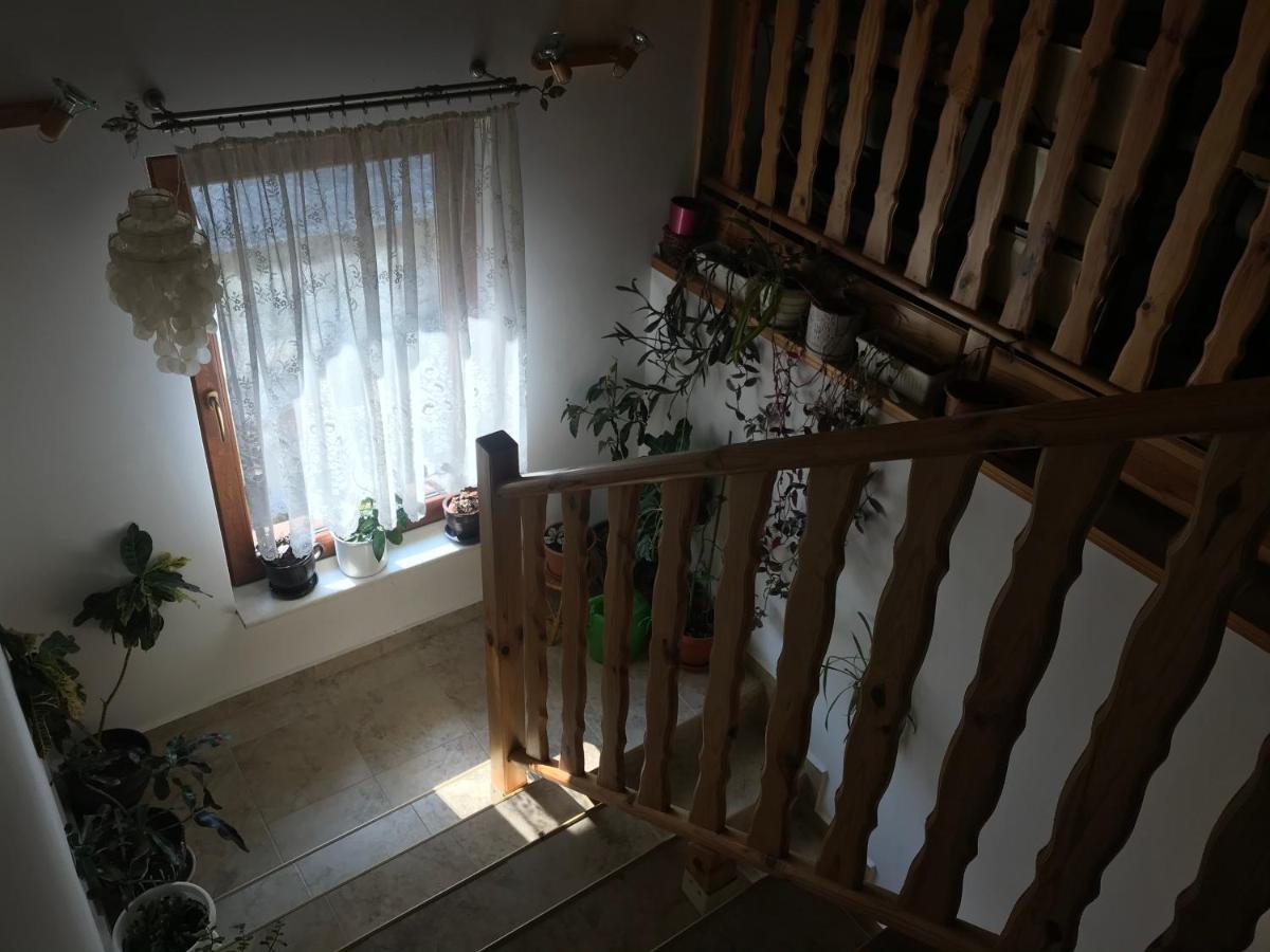 Къща За Гости - Еделвайс, Гр. Габрово Extérieur photo